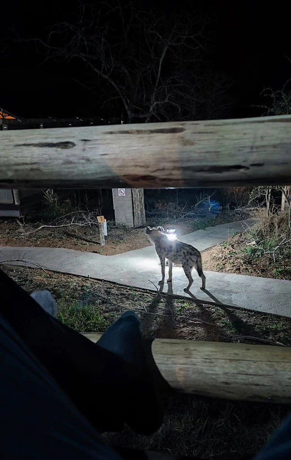 Nkuhlu Tented Camp: van kinderziektes naar een onvergetelijk verblijf, foto 1